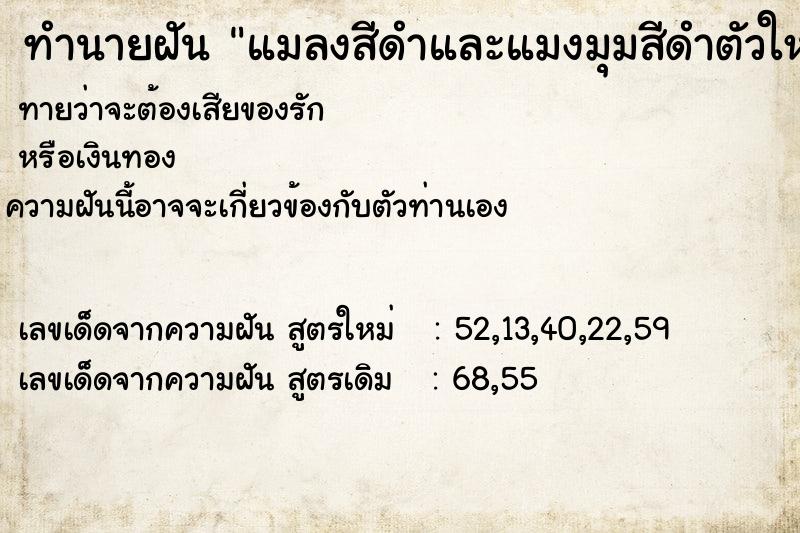 ทำนายฝันทำนายฝันแมลงสีดำและแมงมุมสีดำตัวใหญ่อยู่ใต้ห`อน